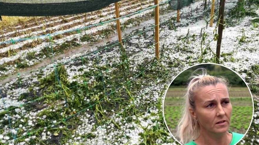 Zagreb ima krivi poštanski: Više od 9.000 poljoprivrednika u slučaju šteta ne može dobiti pomoć