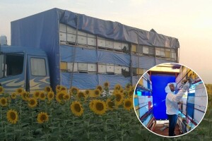 Od Vranja do Erdevika - Goran Cvetković već 10 godina seli svoje pčele sa paše na pašu