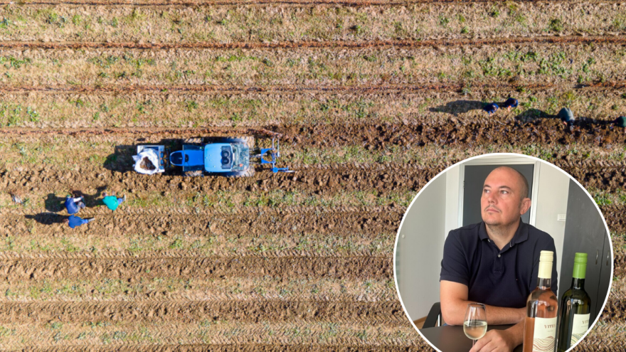 Vinarija Vitus - čuvari autohtonih zagorskih sorti vinove loze