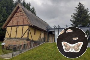 Matulov grunt čuva tradicijsku seosku arhitekturu i same matule - zaštićene leptire