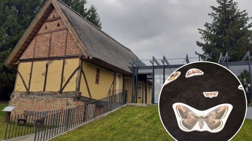 Matulov grunt čuva tradicijsku seosku arhitekturu i same matule - zaštićene leptire