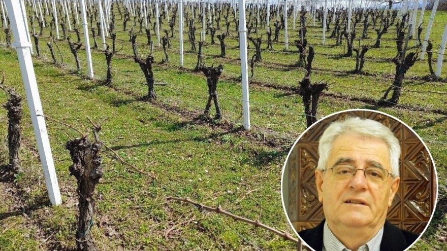 Mraz je iza nas, sad nam slijedi - suša