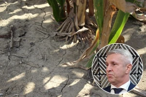 Tugomir Majdak: Tražimo aktiviranje poljoprivredne pričuve za štete od suše