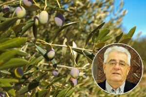 Oborine će ometati poljoprivredne radove, no ne zadugo