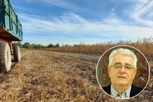 Tlo će biti umjereno vlažno, a pojava jutarnje magle česta