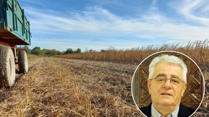 Tlo će biti umjereno vlažno, a pojava jutarnje magle česta