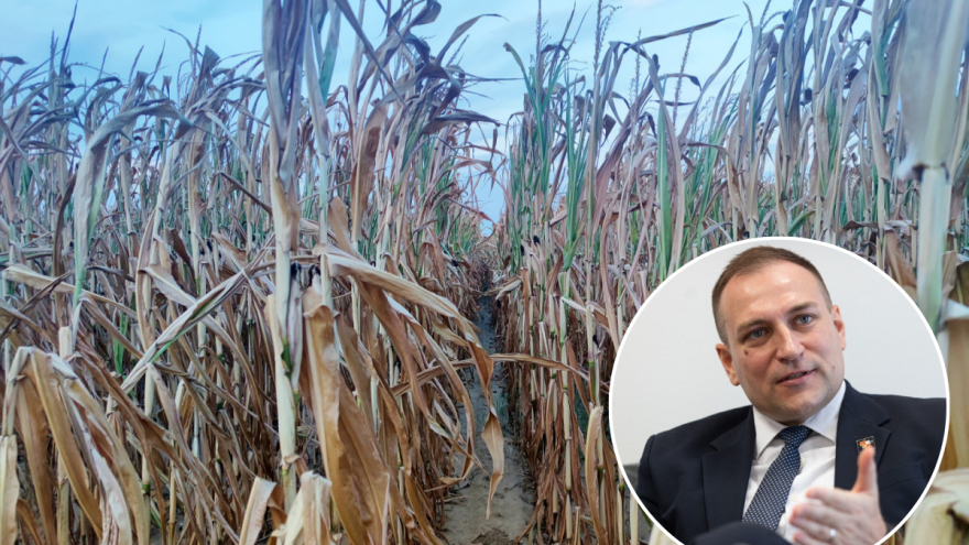 Za štete od suše svakom poljoprivrednom gospodarstvu do 42.000 eura potpora