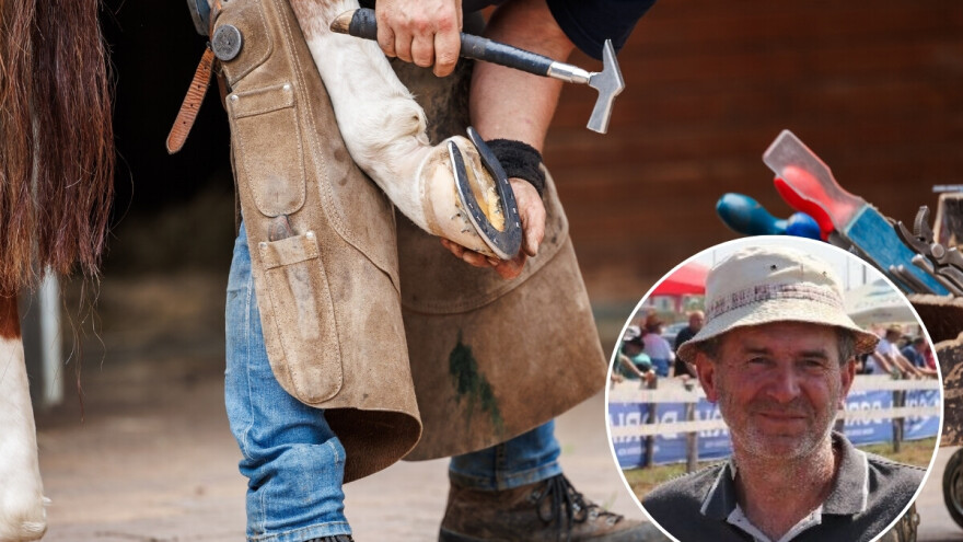 Esad je jedan od rijetkih potkivača konja: "Ne mogu da stignem koliko posla ima"