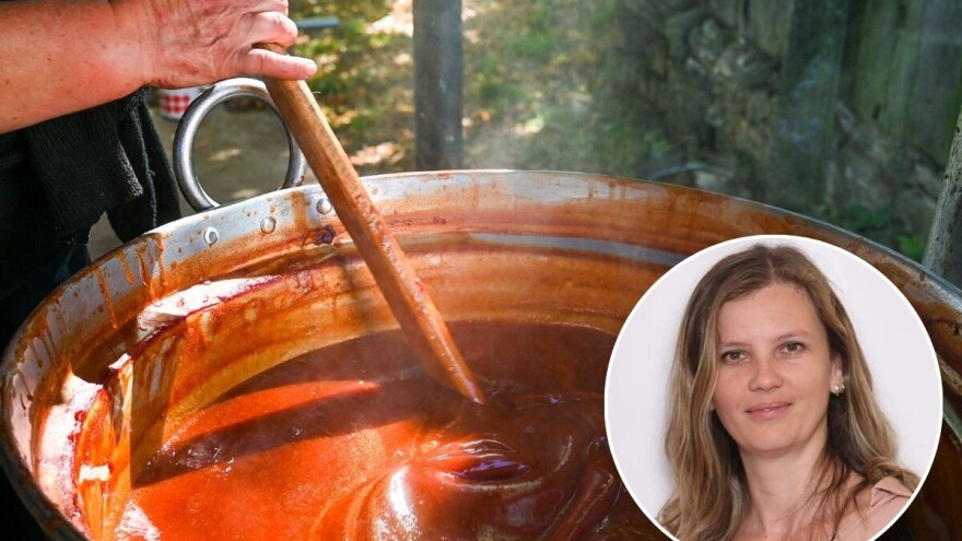 Esma Zjajo: "Zaštitimo ono što stoljećima radimo"