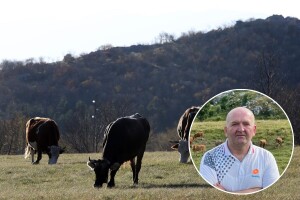 Tešija: Nelogično je da se potiče pašarenje na plodnim oranicama, a zatire na kršu