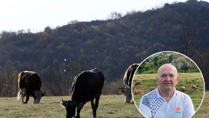 Tešija: Nelogično je da se potiče pašarenje na plodnim oranicama, a zatire na kršu