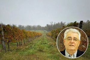 Tlo je ekstremno suho u cijeloj Hrvatskoj, ali oborine dolaze