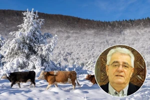 Sveta Kata, ali bez snijega na vrata?