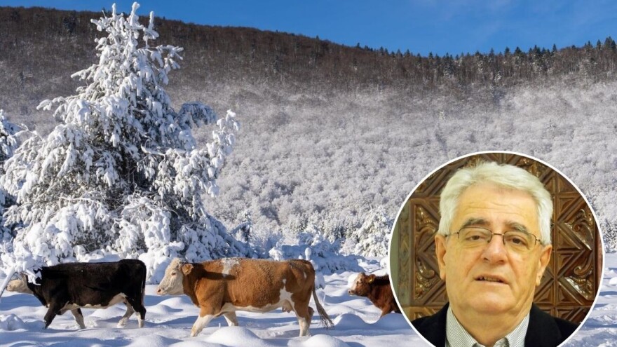 Sveta Kata, ali bez snijega na vrata?