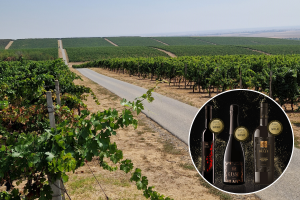 Vina Belje treći put proglašena najboljom vinarijom u Hrvatskoj
