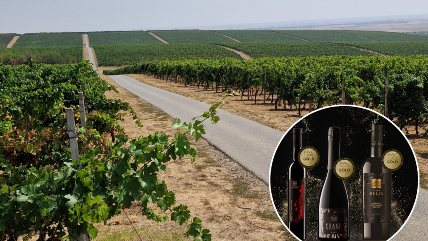Vina Belje treći put proglašena najboljom vinarijom u Hrvatskoj