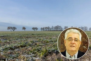 Sveti Andrija kabanice dijeli, kaže pučka izreka