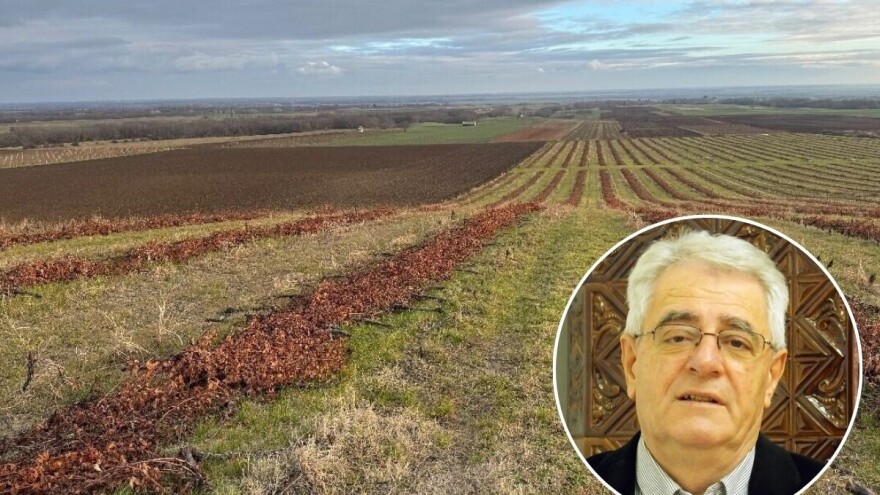 Sveta Luce, ukaži mi Sunce