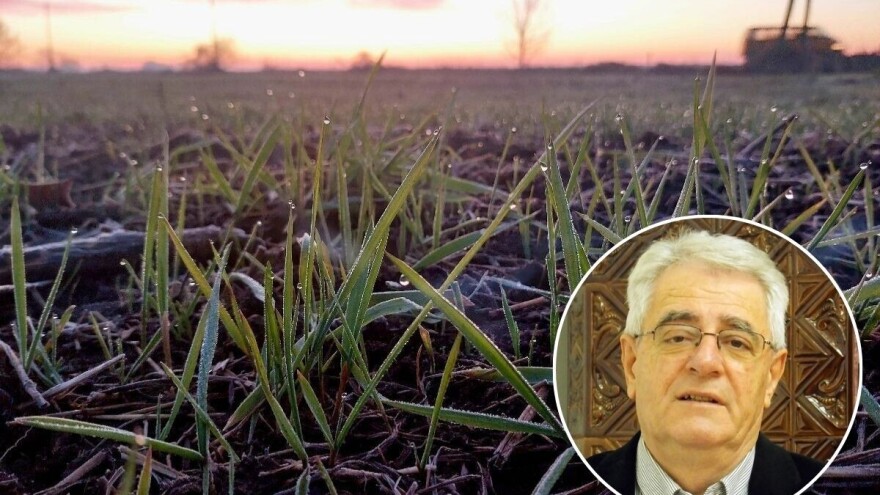 Znali su naši stari: Bolje da je prosinac ružan, nego južan