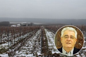 Sunca na blagdan sv. Vinka nije bilo, ali očekujte ga jer pred nama je zatopljenje