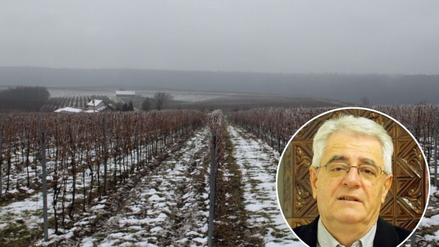 Sunca na blagdan sv. Vinka nije bilo, ali očekujte ga jer pred nama je zatopljenje