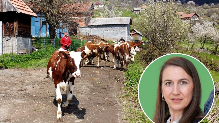 Odmor uz jakuzzi i saunu usred sela, pa još i kravu pomuzeš: Da, u BiH je!