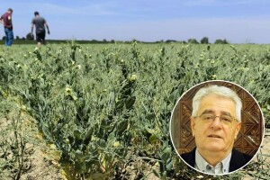 Suh i vruć lipanj malo je kome u poljoprivredi donio nešto dobro, a što slijedi u srpnju?