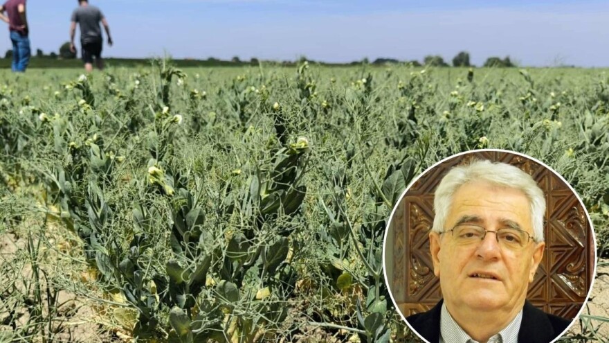 Suh i vruć lipanj malo je kome u poljoprivredi donio nešto dobro, a što slijedi u srpnju?