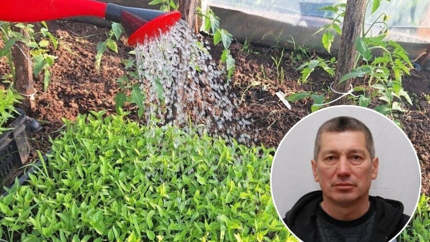 Jovanović: Protiv najvećih prijetnji u proizvodnji rasada - samo preventivom i zaštitom