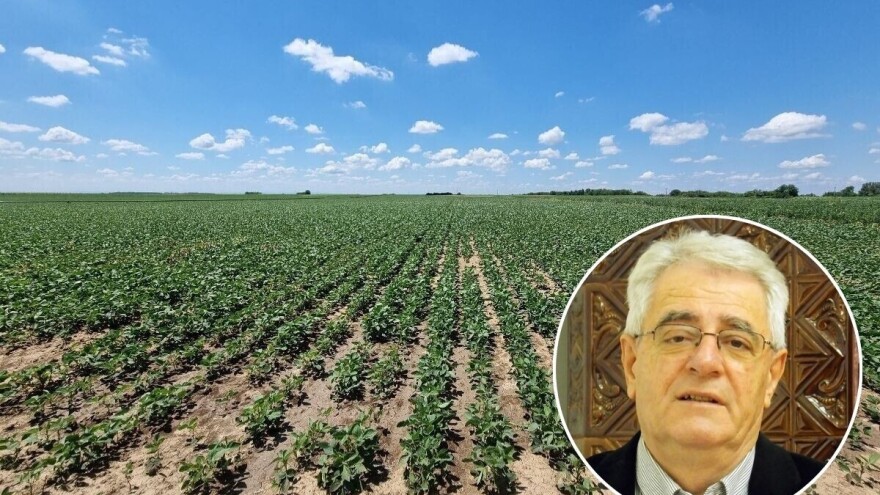 Ljeto nam stiže i astronomski, a tlo ubrzano gubi vlagu