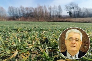 Hladna jutra i umjereno oblačno, što nas još čeka u idućim danima?