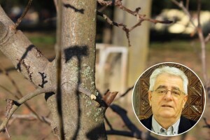 Pojave snijega ponegdje može biti i u nizinama