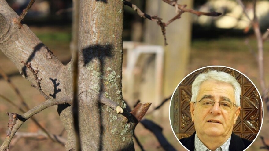 Pojave snijega ponegdje može biti i u nizinama