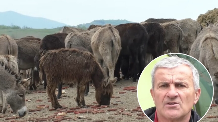 Izetu opet ukrali magarce: "Jednom sam uhvatio lopova i dao mu po ušima, pa me kaznili"
