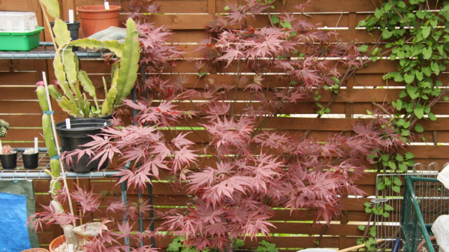 Uređivanje vrta za svako godišnje doba