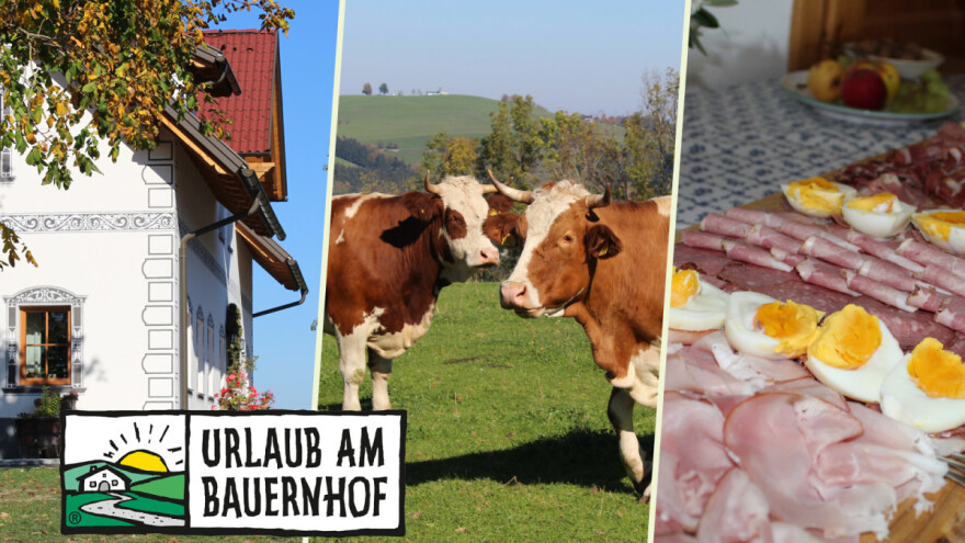 Austrijanci imaju više od 2.000 farmi koje se bave turizmom