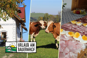 Austrijanci imaju više od 2 tisuće farmi koje se bave turizmom, a Hrvatska?
