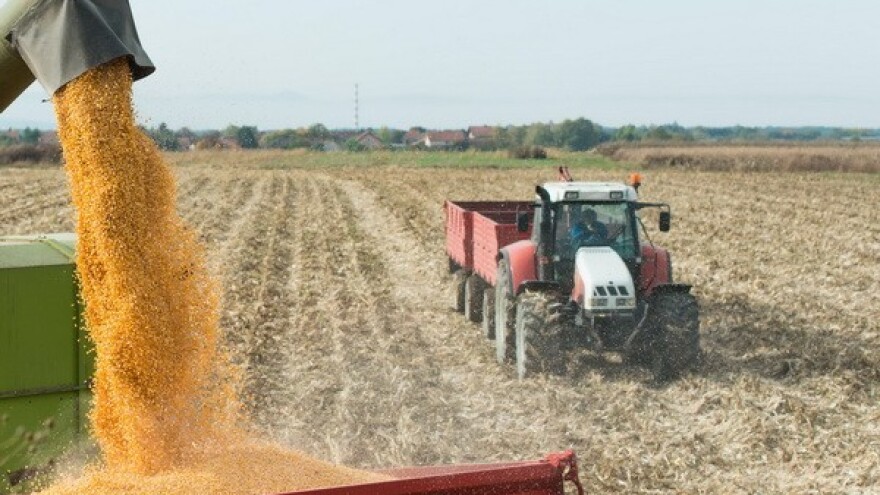 Tržište žitarica pod velom politike - urod raste!