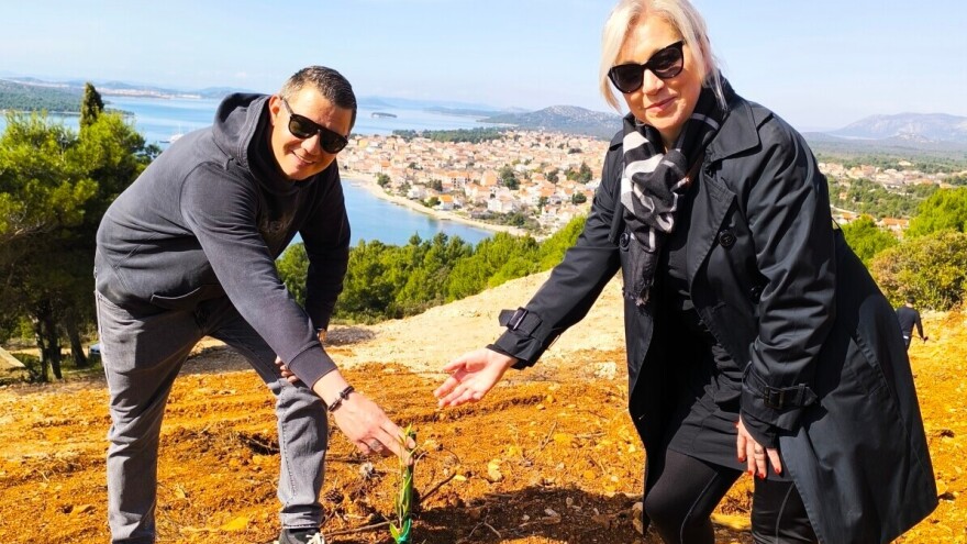 Došao iz Čakovca i na brdu iznad Pirovca podigao maslinarsku atrakciju!