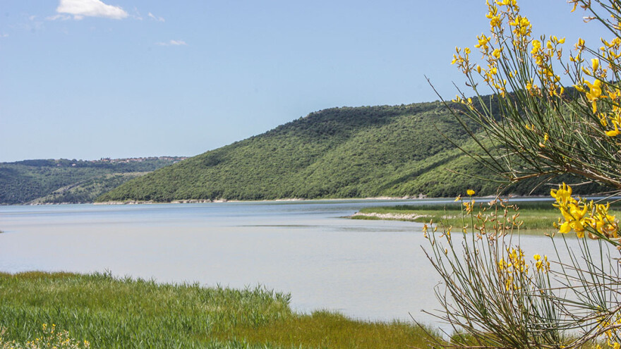 Pravilnik o načinu obavljanja ribolova u posebnom staništu u akvatoriju ušća rijeke Raše