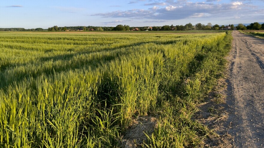 Do kraja nedelje povremeno sa kišom, na planinama sneg