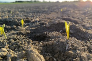Vlažnost tla poboljšana, sada možete raditi u polju: Maj donosi promjenu vremena