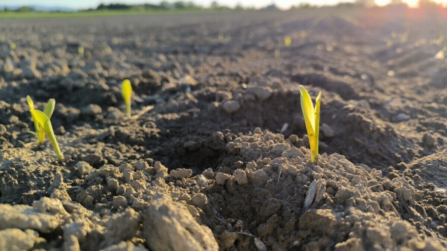 Vlažnost tla poboljšana, sada možete raditi u polju: Maj donosi promjenu vremena