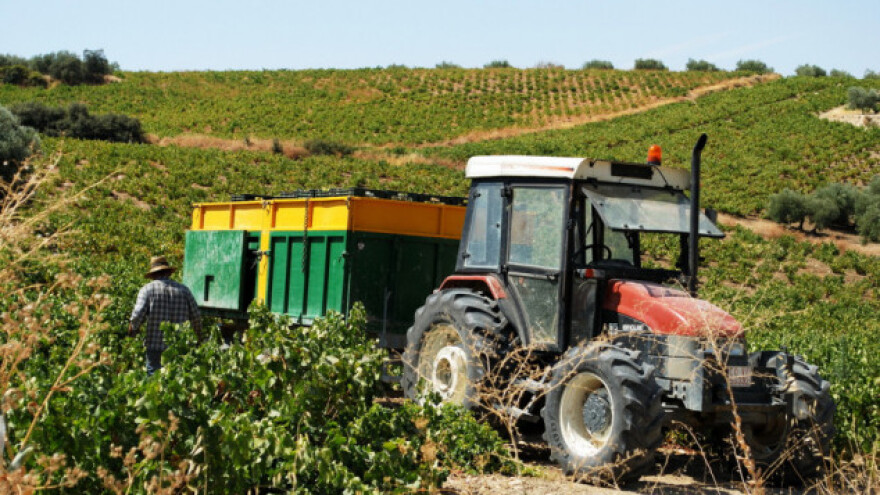 Mraz, kiša i tuča na hiljadama hektara EU nasada