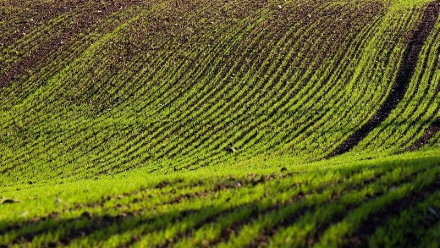 Da je barem pet centimetara snijega!