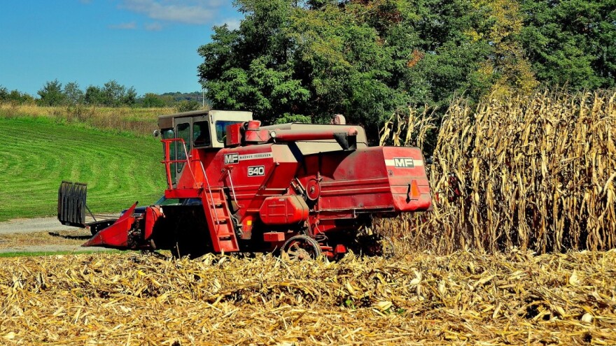 Objavljen Natječaj za podmjeru 17.1.- Osiguranje usjeva, životinja i biljaka!