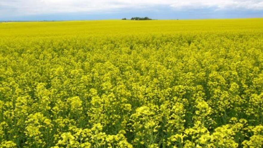 Osigurano manje od pet posto zasijanih površina