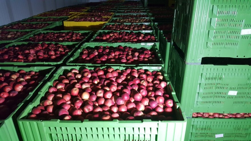 Pada izvoz voća i povrća iz BiH - Rusija više nije vodeće izvozno tržište