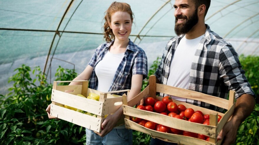 Mjera 6.1.1. - prilika za mlade poljoprivrednike, od sada i za one kojima poljoprivreda neće biti glavno zanimanje!