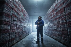 Usporen izvoz srpske maline